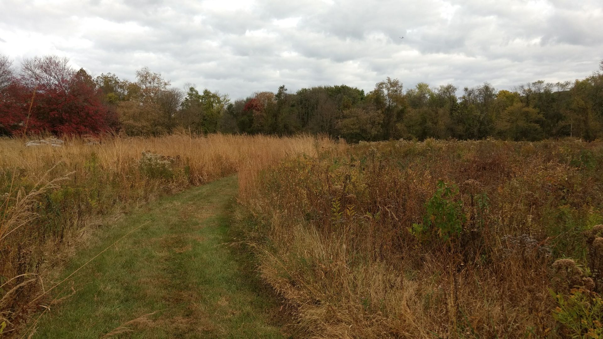 Brandywine River Trail